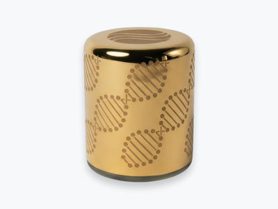 Arany Somavedic Elaura fehér háttéren.